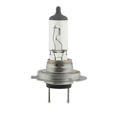 Bulb H7 12V 55W PX26d Bulk 8GH 007.157-137