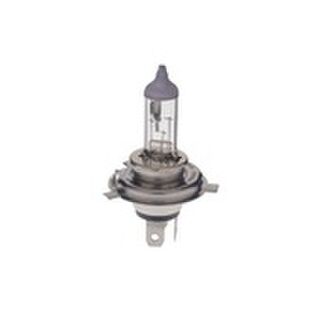 Halogen Bulbs | Youngs Automotive Nelson