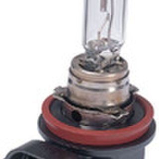 H11 Halogen Bulbs | Youngs Automotive Nelson