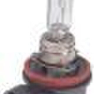 H9 Halogen Bulbs | Youngs Automotive Nelson