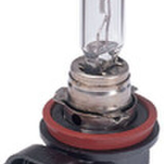 H8 Halogen Bulbs | Youngs Automotive Nelson