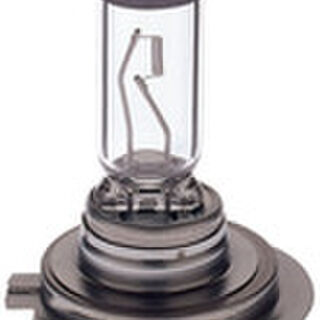 H7 Halogen Bulbs | Youngs Automotive Nelson