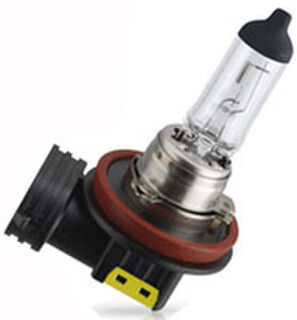 H16 Halogen Bulbs | Youngs Automotive Nelson