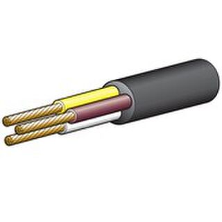 Three Core Cable | Automotive & Marine | Youngs Automotive Nelson