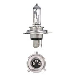 H19 Halogen Bulbs | Youngs Automotive Nelson