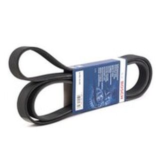 Ribbed Belts | Serpentine & Poly V Belts | Youngs Automotive Nelson