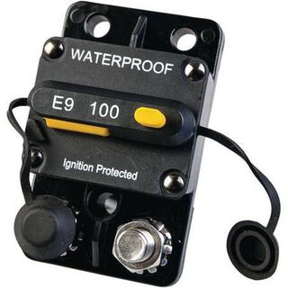 Circuit Breaker 100AMP Parallel Stud