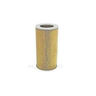 CA10779 - Air Filter