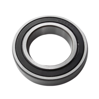 6009-2RS Bearing (45 x 75 x 16mm)
