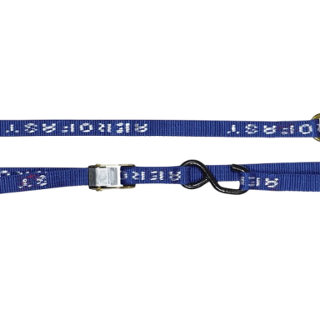 Motorcycle Tiedown Pair 2m x 25mm
